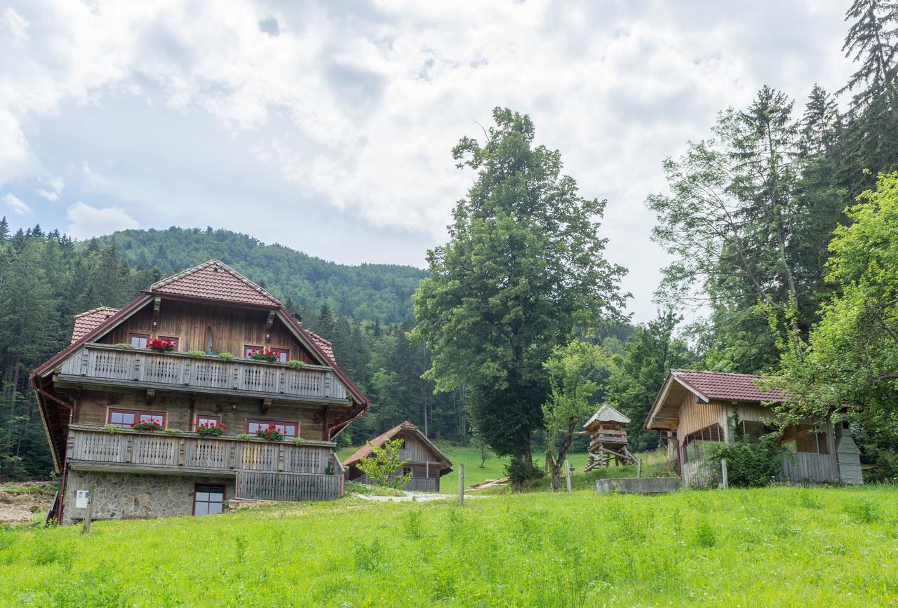 Apartments Petek Gornji Grad Exterior photo